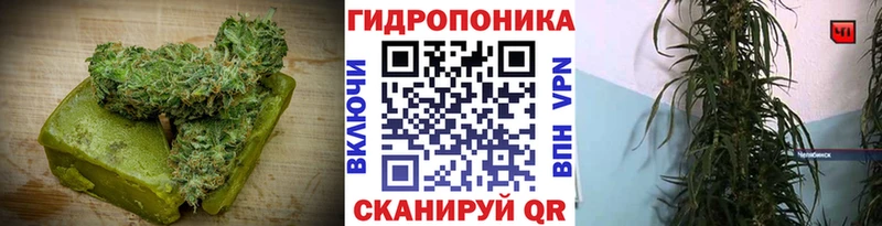 что такое наркотик  Ленинск  Cannafood конопля 