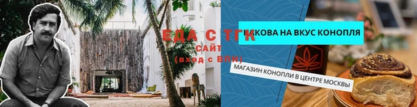 шишки Коряжма
