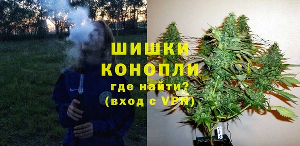 сатива Киренск