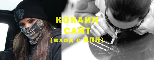 шишки Коряжма