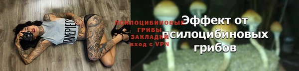 ALPHA PVP Костерёво