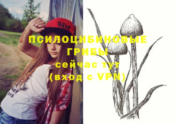 дурь Киреевск